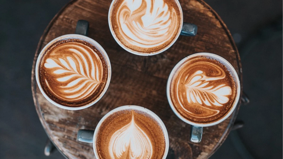 Descubre los diferentes tipos de café y cómo elegir el ideal